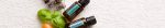 doTERRA AromaTouch Massage Blend (15ml) - Image 4