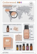 doTERRA Óleo Essencial de Cedro (15ml) - Image 3