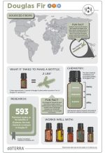 doTERRA Douglas Fir (Abeto Douglas) Óleo Essencial (5ml) - Image 2