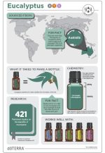 Óleo Essencial de Eucalipto doTERRA (15ml) - Image 3