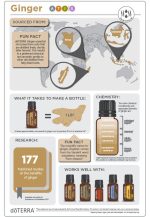 doTERRA Gengibre (Gengibre) Óleo Essencial (15ml) - Image 2