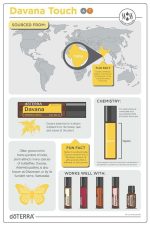 doTERRA Bergamota (Menta) Óleo Essencial (15ml) - Image 4