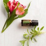 doTERRA Óleo Essencial de Verão (Sabonete) (5ml)