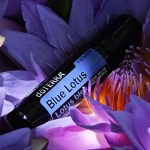 Rolo de Toque de Lótus Azul doTERRA (10ml)