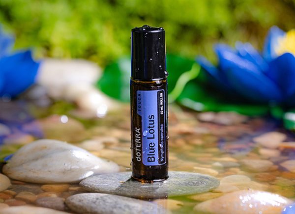 Rolo de Toque de Lótus Azul doTERRA (10ml) - Image 3