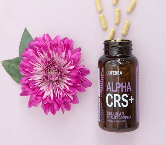 Alpha-CRS doTERRA Alpha CRS®+ - Image 1