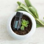 doTERRA Black Pepper (Pimenta Preta) Óleo Essencial (5ml)