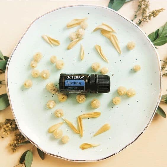 Blue-Tansy-Oil doTERRA Blue Tansy óleo essencial (5ml) - Image 1