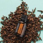 doTERRA Cravo-da-Índia (Clove) Óleo Essencial (15ml)