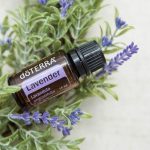 doTERRA Lavender (Lavanda) Óleo Essencial (15ml)