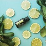 doTERRA Lime (Limão) Óleo Essencial (15ml)