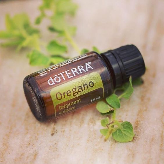 Oregano-Oil doTERRA Óleo Essencial de Orégão (15ml) - Image 1