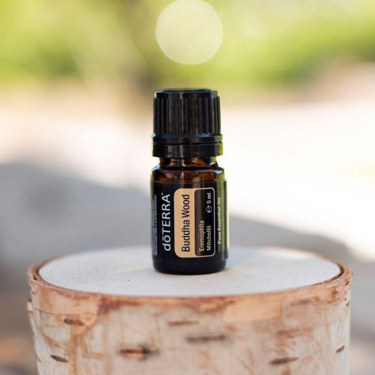 doTERRA-Buddha-Wood-Essential-Oil-product doTERRA Buddha Wood (Madeira de Buda) Óleo Essencial (5ml) - Image 1