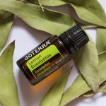 doTERRA Lemon Eucalyptus (Eucalipto-limão) Óleo Essencial (15ml)