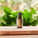 Reinicia o teu Metabolismo com doTERRA MetaPWR